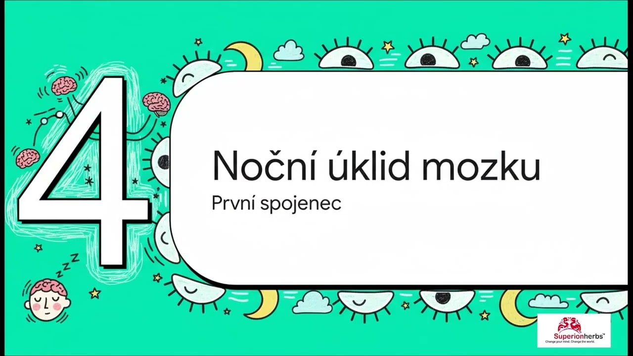 Měnící se mozek