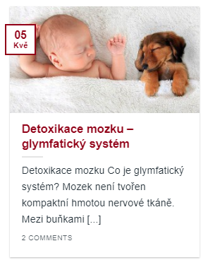 Článek detoxikace mozku - glymfatický systém