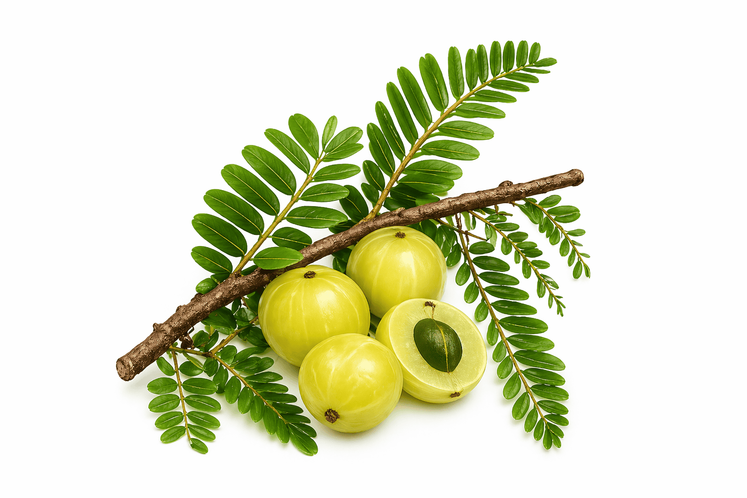 Amla – indický angrešt