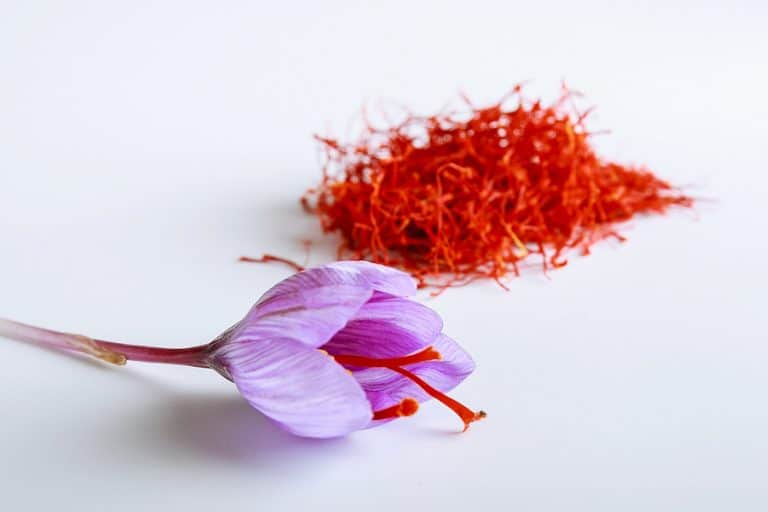Saffron – šafrán setý