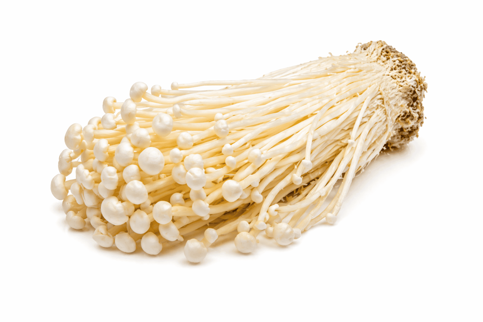 Enoki – penízovka sametonohá