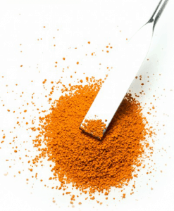 prášek z kurkumy (Curcuma longa)