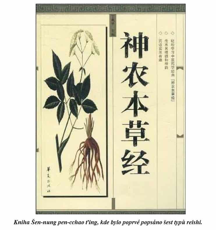 kniha Šen-nung pen-cchao ťing obsahuje poprvé popsaných 6 typů Reishi