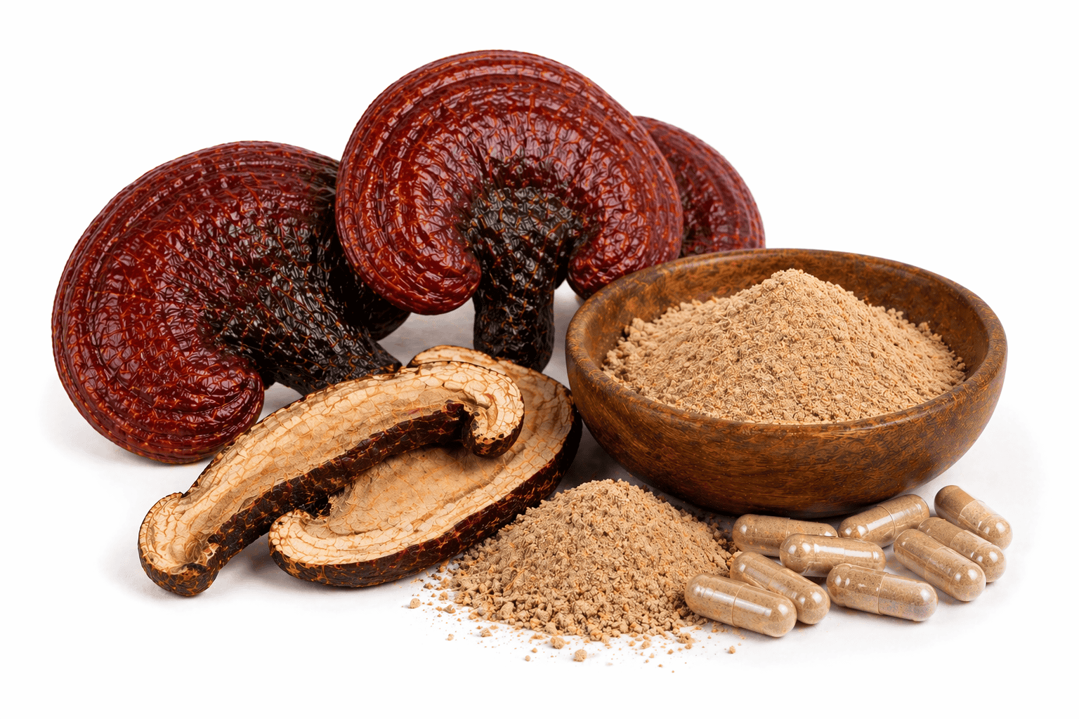 Reishi – spórový prášek