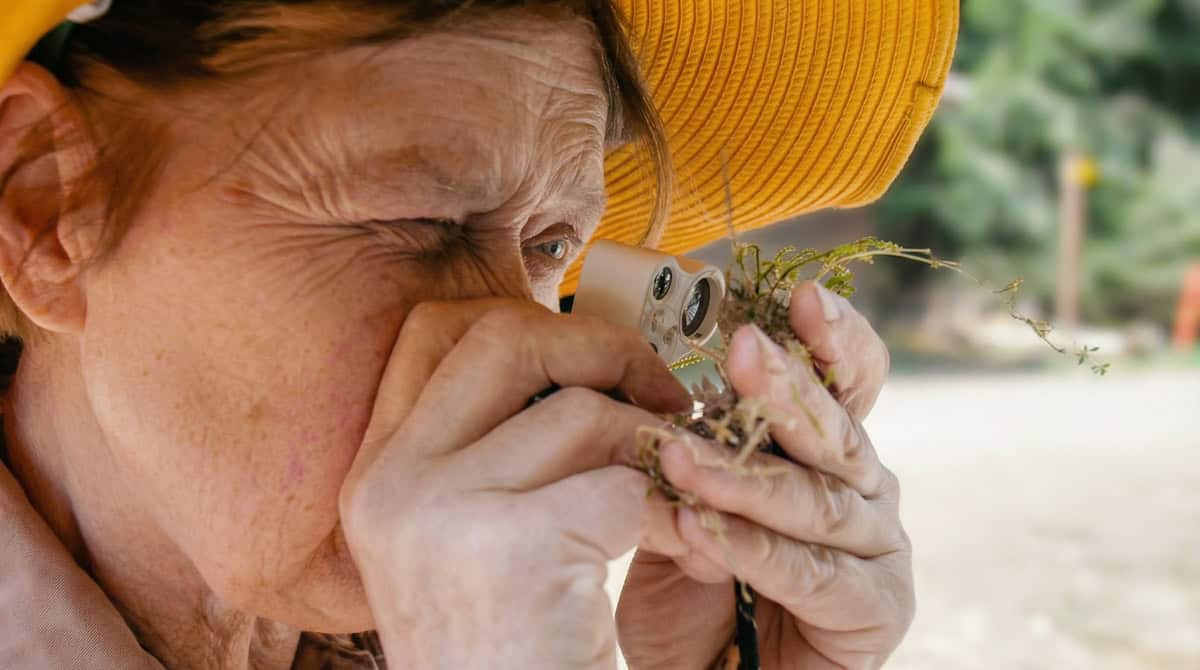 Anna Lepšová – tištěný rozhovor
