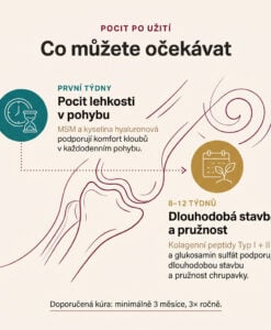 ARTROVA – kloubní výživa v želé - Obrázek 4