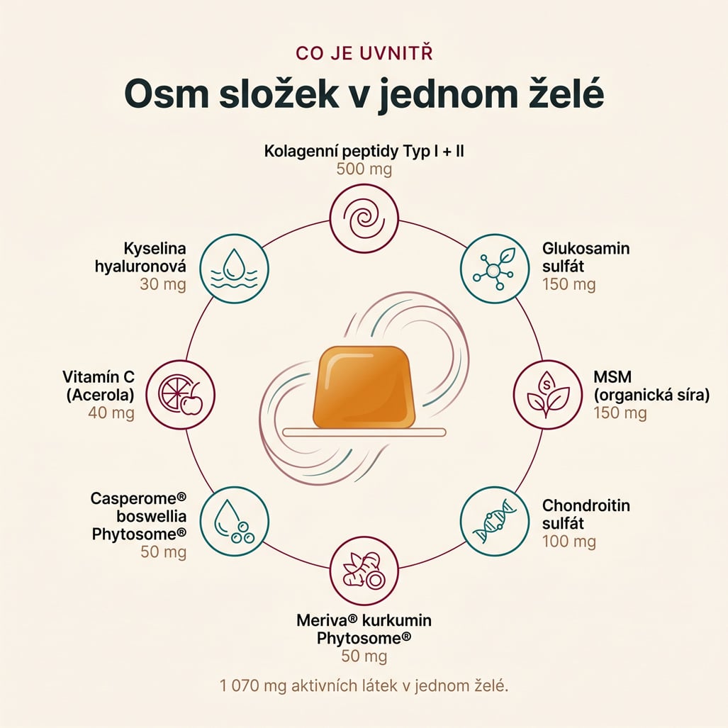 ARTROVA – kloubní výživa v želé - Obrázek 2