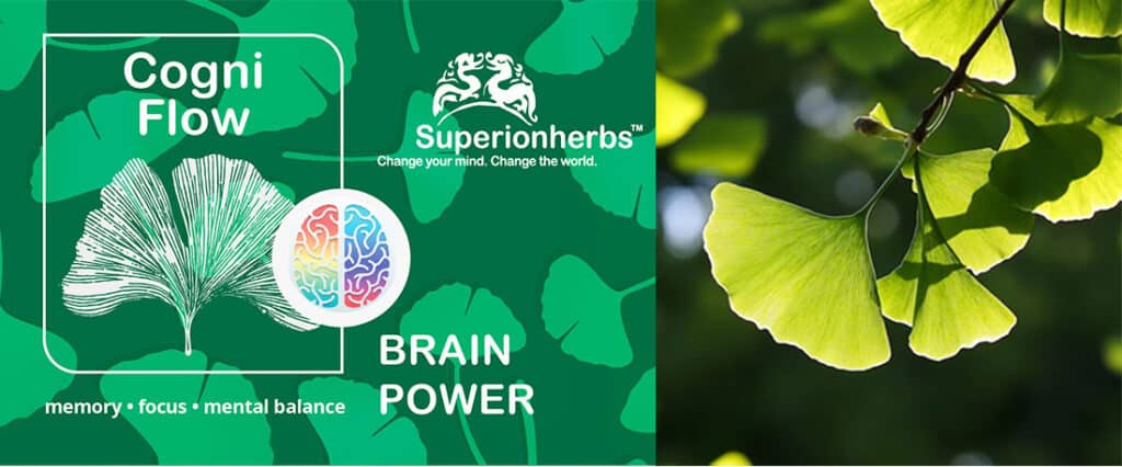 Cogni Flow - Podpora paměti a koncentrace Gingko Phytosome ...
