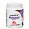 Coprinus Comatus Extrakt Super Strong 100% Coprinus comatus