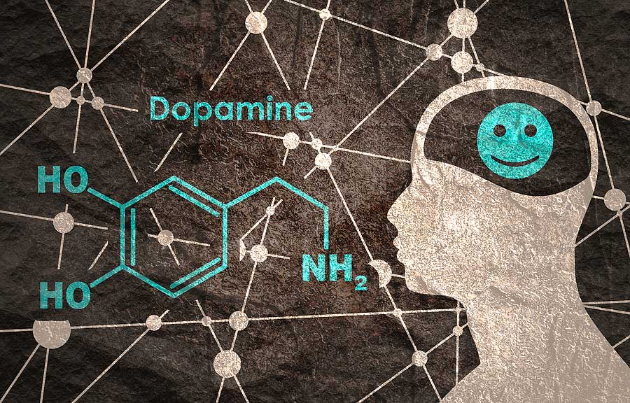 Dopamin a funkce na mozek