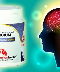 doplněk stravy Hericium super strong, Superionherbs a obrázek hlavy s barevným vyzobrazením nervové soustavy
