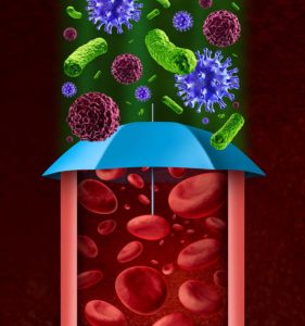 grafické zobrazení tepny, která má jako štít deštník chránící ji před viry a bakteriemi