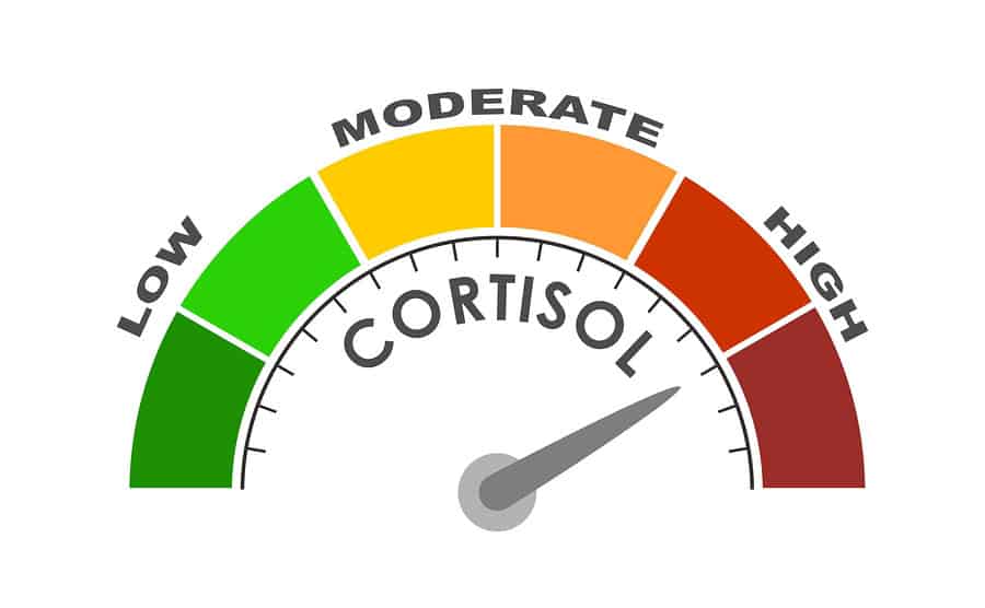 ručička ukazující vysokou hladinu kortizolu na barevné stupnici