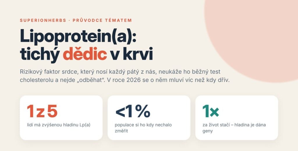 Lipoprotein(a): tichý dědic v krvi – 1 z 5 lidí má zvýšenou hladinu, méně než 1 % bylo testováno