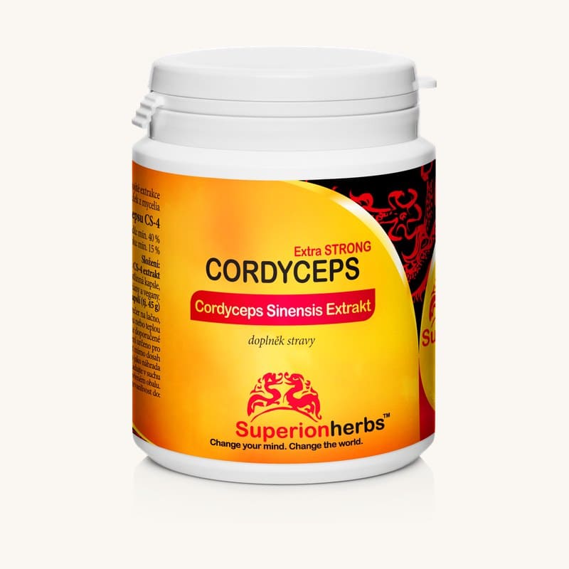 Cordyceps extrakt