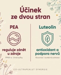PEA Phytosome® + Luteolin - Obrázek 3