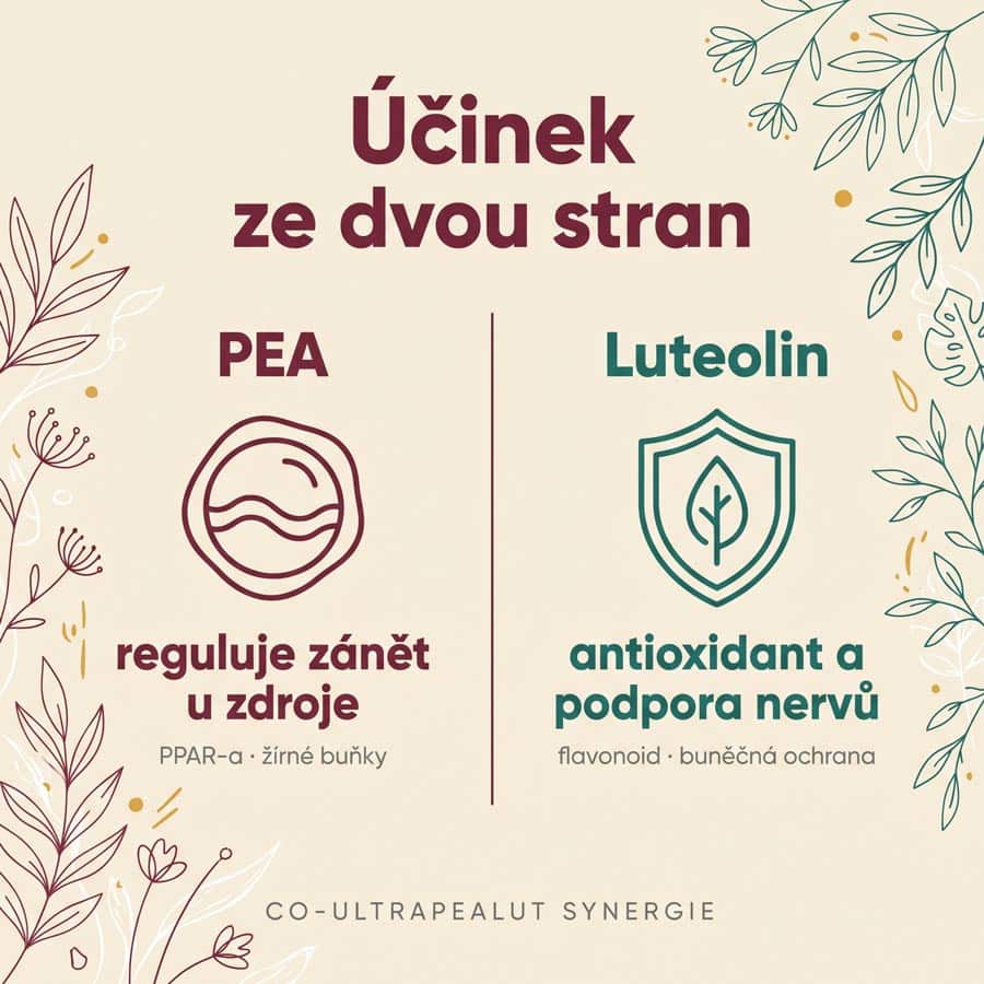 PEA Phytosome® + Luteolin - Obrázek 3