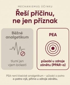 PEA Phytosome® + Luteolin - Obrázek 5