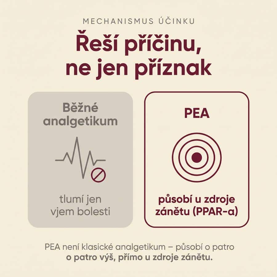 PEA Phytosome® + Luteolin - Obrázek 5