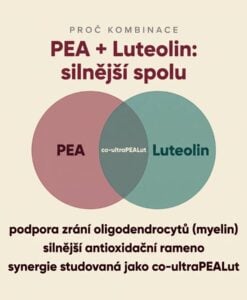 PEA Phytosome® + Luteolin - Obrázek 2