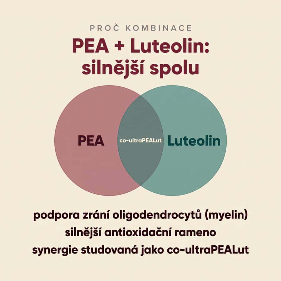 PEA Phytosome® + Luteolin - Obrázek 2