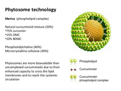 Curcumin Phytosome® Power Complex technologie
