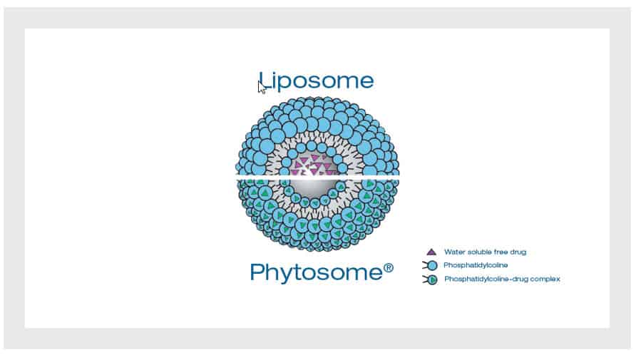 rozdiel medzi liposomem a phytosomem