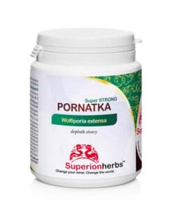 Pornatka kokosová, Wolfiporia extensa, Extrakt 40 % polysacharidů