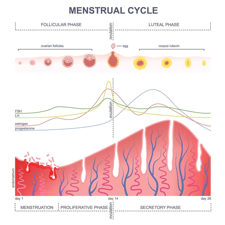 premenstruační syndrom