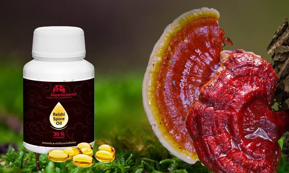 Reishi spórový olej – adaptogenní podpora, imunita a duševní rovnováha reishi spórový olej