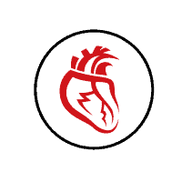 reishi-srdce
