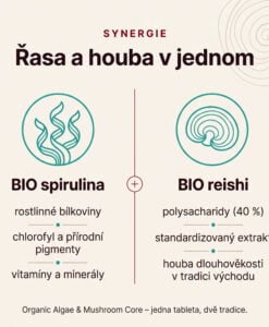 Spirulina & Reishi BIO - Obrázek 3