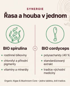Spirulina & Cordyceps BIO - Obrázek 3