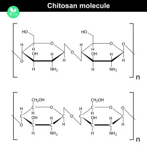 chemické znázornění struktury chitosanu